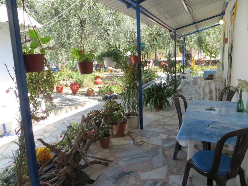 Sea View Bungalows Skála Kallirákhis Dış mekan fotoğraf