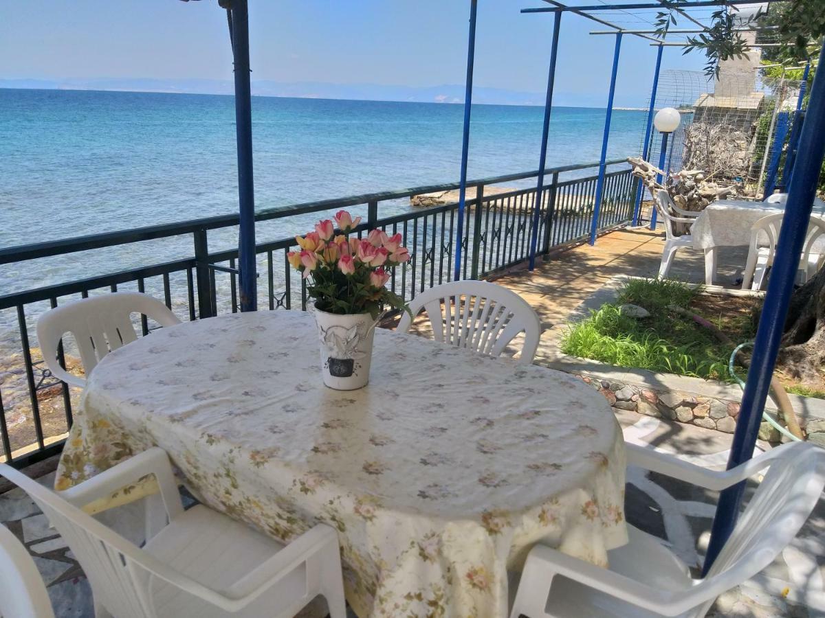 Sea View Bungalows Skála Kallirákhis Dış mekan fotoğraf